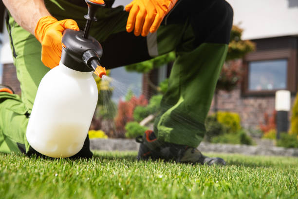 Best Pest Prevention Services  in Ithaca, MI