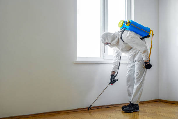 Best Best Pest Control Companies  in Ithaca, MI