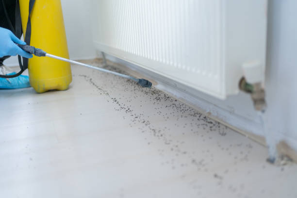 Best Pest Removal Services  in Ithaca, MI