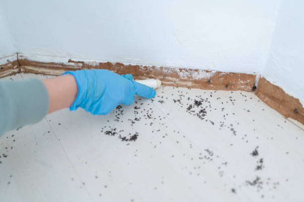 Best Pest Control for Businesses  in Ithaca, MI